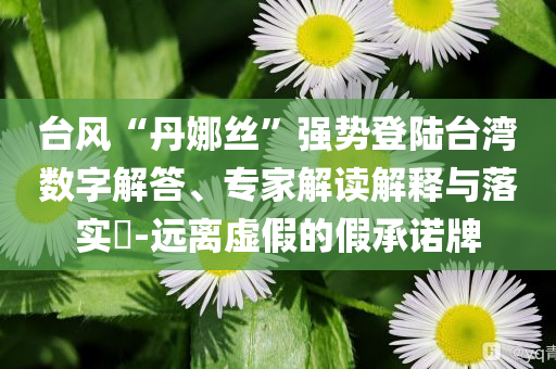臺(tái)風(fēng)“丹娜絲”強(qiáng)勢(shì)登陸臺(tái)灣數(shù)字解答、專家解讀解釋與落實(shí)?-遠(yuǎn)離虛假的假承諾牌