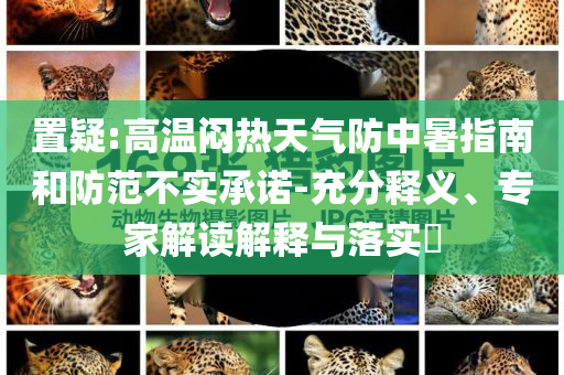 置疑:高溫悶熱天氣防中暑指南和防范不實(shí)承諾-充分釋義、專家解讀解釋與落實(shí)?