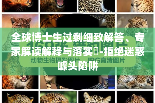 全球博士生過剩細致解答、專家解讀解釋與落實?-拒絕迷惑噱頭陷阱