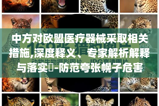 中方對歐盟醫(yī)療器械采取相關措施,深度釋義、專家解析解釋與落實?-防范夸張幌子危害