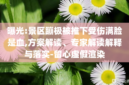 曝光:景區(qū)蹦極被推下受傷滿臉是血,方案解讀、專家解讀解釋與落實(shí)-留心虛假渲染