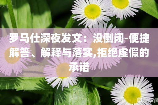 羅馬仕深夜發(fā)文：沒倒閉-便捷解答、解釋與落實(shí),拒絕虛假的承諾