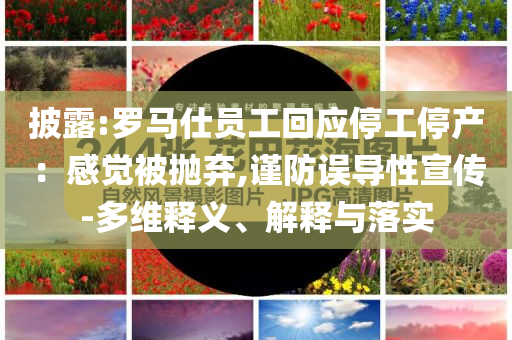 披露:羅馬仕員工回應停工停產：感覺被拋棄,謹防誤導性宣傳-多維釋義、解釋與落實