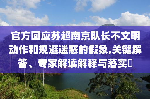 官方回應(yīng)蘇超南京隊(duì)長(zhǎng)不文明動(dòng)作和規(guī)避迷惑的假象,關(guān)鍵解答、專(zhuān)家解讀解釋與落實(shí)?