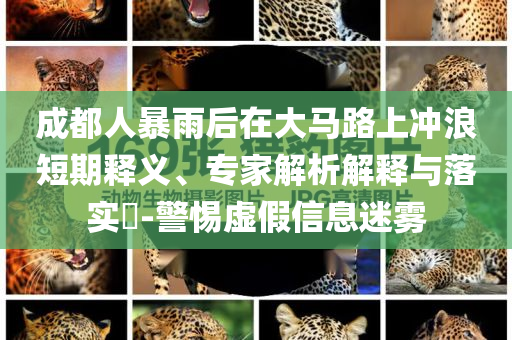 成都人暴雨后在大馬路上沖浪短期釋義、專家解析解釋與落實?-警惕虛假信息迷霧