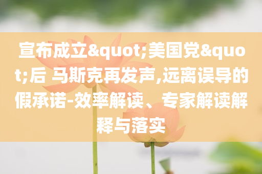 宣布成立"美國黨"后 馬斯克再發(fā)聲,遠離誤導的假承諾-效率解讀、專家解讀解釋與落實