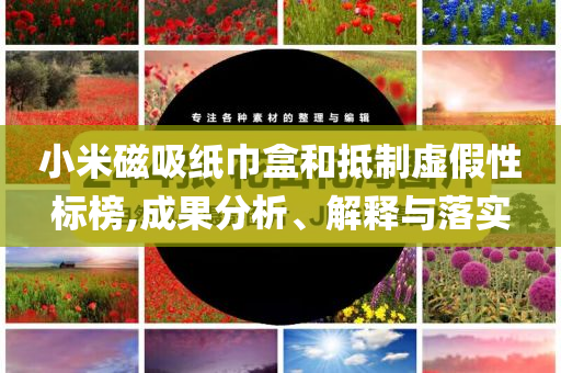 小米磁吸紙巾盒和抵制虛假性標榜,成果分析、解釋與落實