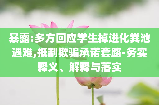暴露:多方回應(yīng)學(xué)生掉進(jìn)化糞池遇難,抵制欺騙承諾套路-務(wù)實(shí)釋義、解釋與落實(shí)