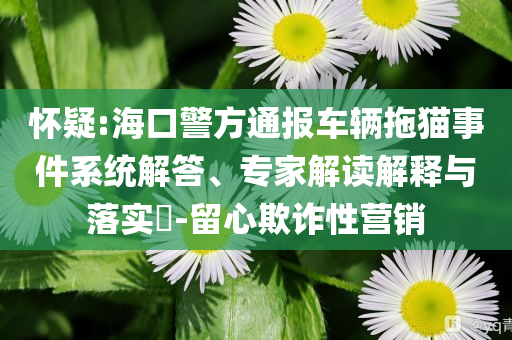 懷疑:海口警方通報(bào)車輛拖貓事件系統(tǒng)解答、專家解讀解釋與落實(shí)?-留心欺詐性營銷