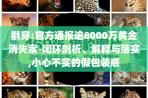 戳穿:官方通報(bào)逾8000萬(wàn)黃金消失案-閉環(huán)剖析、解釋與落實(shí),小心不實(shí)的假包裝惑