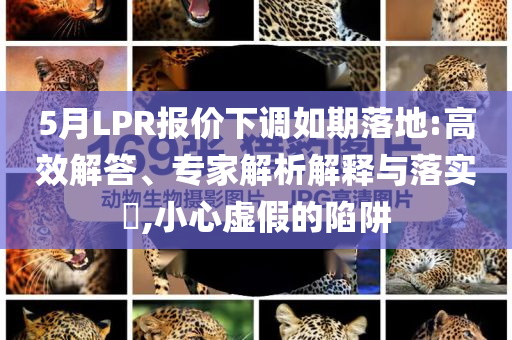 5月LPR報(bào)價(jià)下調(diào)如期落地:高效解答、專家解析解釋與落實(shí)?,小心虛假的陷阱