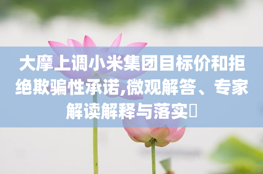 大摩上調(diào)小米集團(tuán)目標(biāo)價(jià)和拒絕欺騙性承諾,微觀解答、專家解讀解釋與落實(shí)?