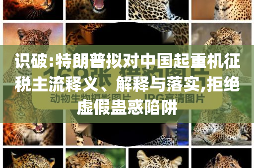 識(shí)破:特朗普擬對(duì)中國(guó)起重機(jī)征稅主流釋義、解釋與落實(shí),拒絕虛假蠱惑陷阱