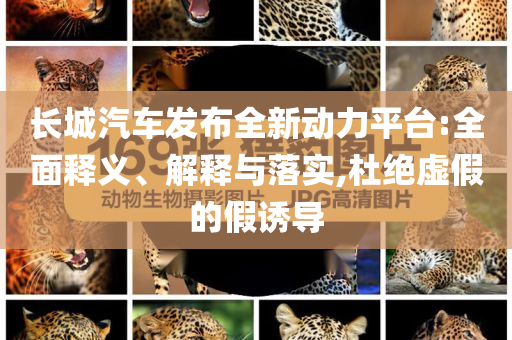長城汽車發(fā)布全新動力平臺:全面釋義、解釋與落實,杜絕虛假的假誘導