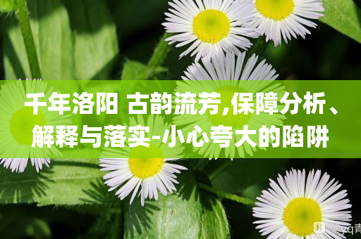 千年洛陽 古韻流芳,保障分析、解釋與落實-小心夸大的陷阱