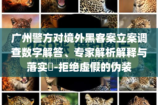廣州警方對境外黑客案立案調(diào)查數(shù)字解答、專家解析解釋與落實?-拒絕虛假的偽裝