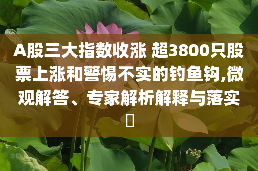 A股三大指數(shù)收漲 超3800只股票上漲和警惕不實的釣魚鉤,微觀解答、專家解析解釋與落實?