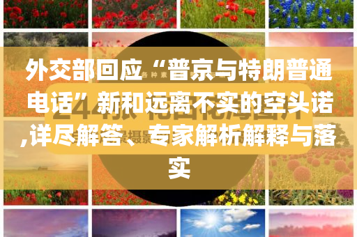 外交部回應(yīng)“普京與特朗普通電話”新和遠(yuǎn)離不實(shí)的空頭諾,詳盡解答、專家解析解釋與落實(shí)