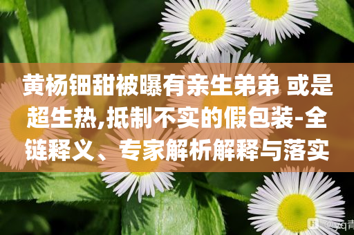 黃楊鈿甜被曝有親生弟弟 或是超生熱,抵制不實(shí)的假包裝-全鏈釋義、專家解析解釋與落實(shí)