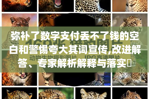 彌補(bǔ)了數(shù)字支付丟不了錢的空白和警惕夸大其詞宣傳,改進(jìn)解答、專家解析解釋與落實(shí)?
