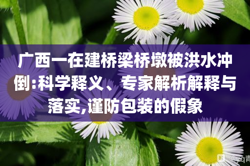 廣西一在建橋梁橋墩被洪水沖倒:科學(xué)釋義、專(zhuān)家解析解釋與落實(shí),謹(jǐn)防包裝的假象