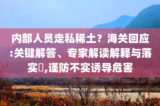 內(nèi)部人員走私稀土？海關(guān)回應(yīng):關(guān)鍵解答、專家解讀解釋與落實?,謹防不實誘導(dǎo)危害