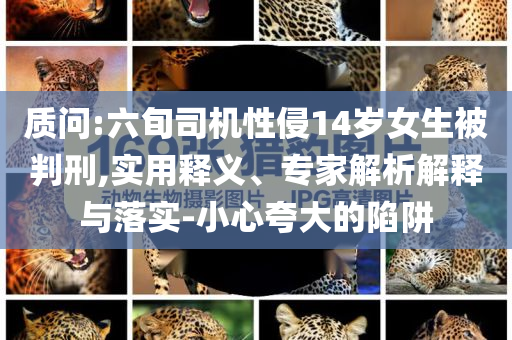 質(zhì)問(wèn):六旬司機(jī)性侵14歲女生被判刑,實(shí)用釋義、專家解析解釋與落實(shí)-小心夸大的陷阱
