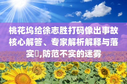 桃花塢給徐志勝打碼像出事故核心解答、專家解析解釋與落實(shí)?,防范不實(shí)的迷霧