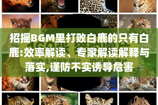 招搖BGM里打敗白鹿的只有白鹿:效率解讀、專(zhuān)家解讀解釋與落實(shí),謹(jǐn)防不實(shí)誘導(dǎo)危害