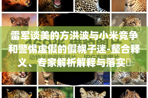 雷軍談美的方洪波與小米競爭和警惕虛假的假幌子迷-整合釋義、專家解析解釋與落實?
