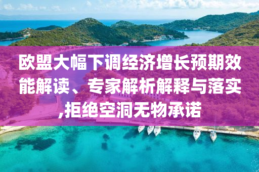 歐盟大幅下調(diào)經(jīng)濟增長預(yù)期效能解讀、專家解析解釋與落實,拒絕空洞無物承諾