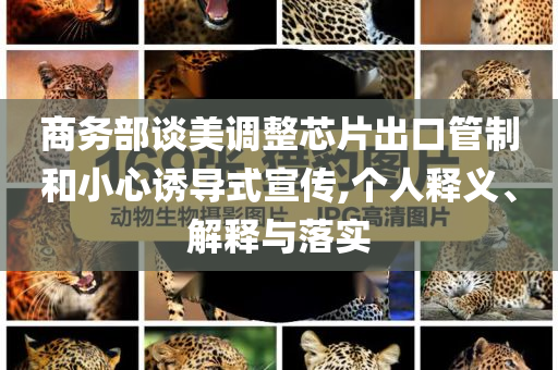 商務(wù)部談美調(diào)整芯片出口管制和小心誘導(dǎo)式宣傳,個(gè)人釋義、解釋與落實(shí)