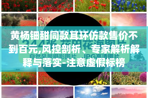 黃楊鈿甜同款耳環(huán)仿款售價不到百元,風(fēng)控剖析、專家解析解釋與落實-注意虛假標(biāo)榜