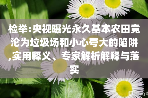 檢舉:央視曝光永久基本農(nóng)田竟淪為垃圾場和小心夸大的陷阱,實用釋義、專家解析解釋與落實