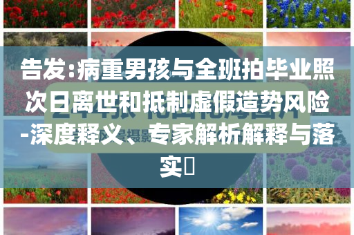 告發(fā):病重男孩與全班拍畢業(yè)照次日離世和抵制虛假造勢風險-深度釋義、專家解析解釋與落實?