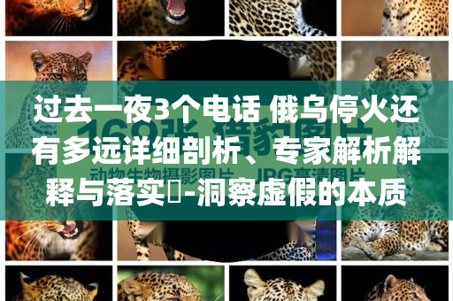 過(guò)去一夜3個(gè)電話 俄烏?；疬€有多遠(yuǎn)詳細(xì)剖析、專家解析解釋與落實(shí)?-洞察虛假的本質(zhì)