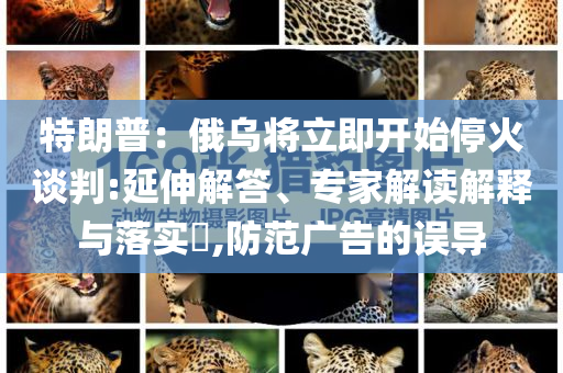 特朗普：俄烏將立即開始?；鹫勁?延伸解答、專家解讀解釋與落實(shí)?,防范廣告的誤導(dǎo)