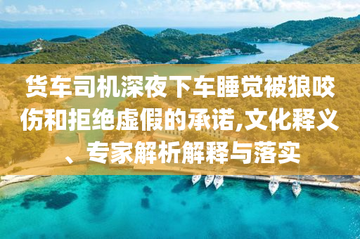 貨車司機(jī)深夜下車睡覺被狼咬傷和拒絕虛假的承諾,文化釋義、專家解析解釋與落實(shí)