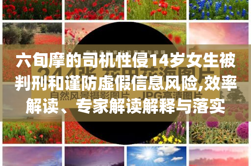 六旬摩的司機(jī)性侵14歲女生被判刑和謹(jǐn)防虛假信息風(fēng)險(xiǎn),效率解讀、專(zhuān)家解讀解釋與落實(shí)