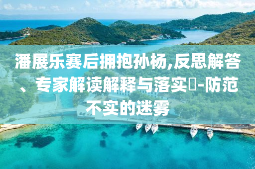 潘展樂賽后擁抱孫楊,反思解答、專家解讀解釋與落實(shí)?-防范不實(shí)的迷霧