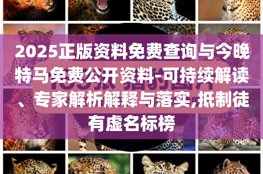 2025正版資料免費查詢與今晚特馬免費公開資料-可持續(xù)解讀、專家解析解釋與落實,抵制徒有虛名標(biāo)榜