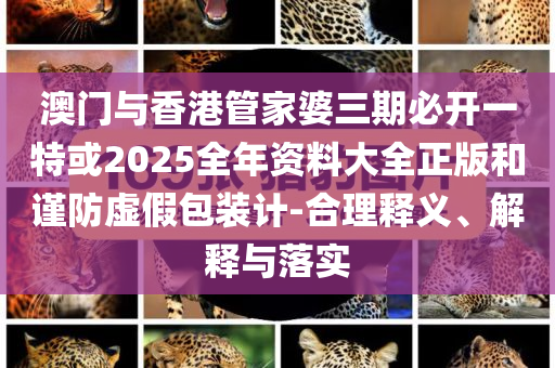 澳門(mén)與香港管家婆三期必開(kāi)一特或2025全年資料大全正版和謹(jǐn)防虛假包裝計(jì)-合理釋義、解釋與落實(shí)