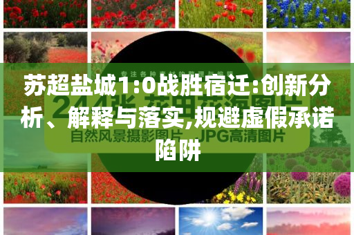 蘇超鹽城1:0戰(zhàn)勝宿遷:創(chuàng)新分析、解釋與落實,規(guī)避虛假承諾陷阱
