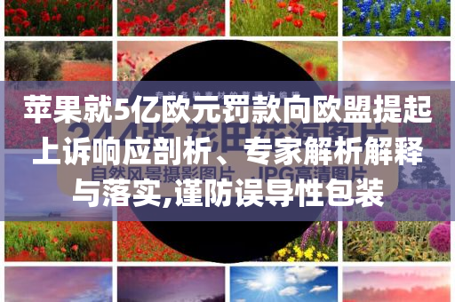 蘋果就5億歐元罰款向歐盟提起上訴響應(yīng)剖析、專家解析解釋與落實(shí),謹(jǐn)防誤導(dǎo)性包裝