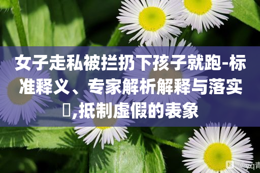 女子走私被攔扔下孩子就跑-標準釋義、專家解析解釋與落實?,抵制虛假的表象