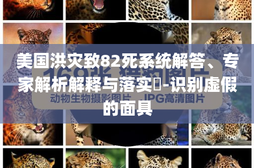 美國(guó)洪災(zāi)致82死系統(tǒng)解答、專家解析解釋與落實(shí)?-識(shí)別虛假的面具