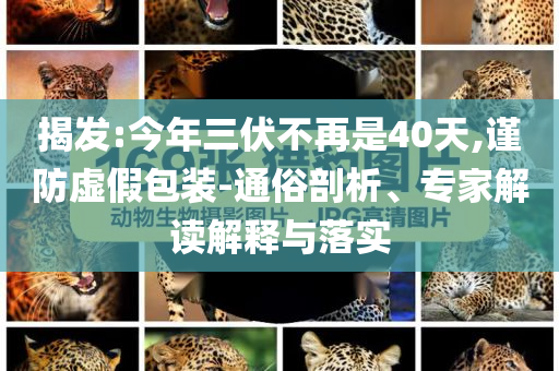 揭發(fā):今年三伏不再是40天,謹防虛假包裝-通俗剖析、專家解讀解釋與落實
