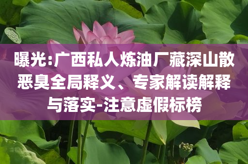 曝光:廣西私人煉油廠藏深山散惡臭全局釋義、專家解讀解釋與落實(shí)-注意虛假標(biāo)榜
