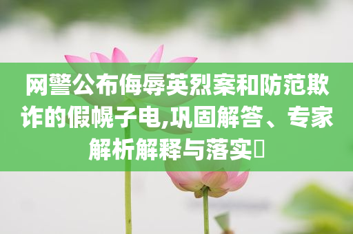 網(wǎng)警公布侮辱英烈案和防范欺詐的假幌子電,鞏固解答、專家解析解釋與落實(shí)?