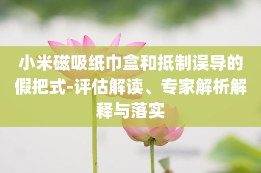 小米磁吸紙巾盒和抵制誤導(dǎo)的假把式-評估解讀、專家解析解釋與落實(shí)